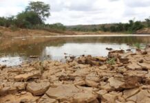 Alerta de Calor e Baixa Umidade no Sertão da Paraíba