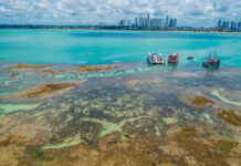 Paraíba é destaque de Convenção da Operadora BWT, em Foz do Iguaçu
