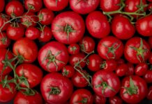 Clima faz o preço do tomate subir mais em todo o Brasil; entenda os motivos