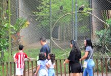 Polícia investiga furto de aves no zoológico em João Pessoa