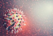 Covid-19: nova variante é confirmada em São Paulo e no Ceará