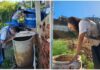Serra Redonda mantém índice controlado no combate ao Aedes aegypti