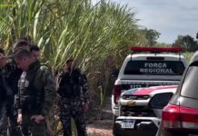 Corpo é encontrado amarrado em canavial de Santa Rita e polícia suspeita que seja de motorista desaparecido