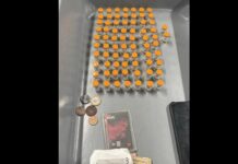 PF intercepta passageiro com medicamento usado contra diabetes e obesidade em João Pessoa