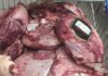 Fiscalização apreende quase 100 quilos de carne vencida em supermercado de Campina