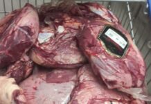 Fiscalização apreende quase 100 quilos de carne vencida em supermercado de Campina