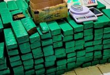 Megaoperação das Polícia Militar e Federal em Mandacaru termina com prisão e 160 kg de maconha apreendidos