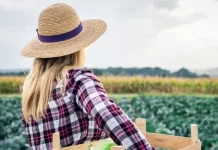 Comissão da Câmara debate política nacional de atenção a mulheres na menopausa