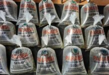 Programa da Piscicultura: Sedap-PB vai distribuir 340 mil alevinos em cinco municípios paraibanos