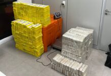 Quase meia tonelada de cocaína apreendida em João Pessoa pela PF era transportada em carga de milho; uma mulher foi presa