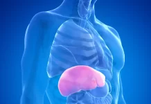 Gordura no fígado: veja o que comer e o que evitar para proteger a saúde