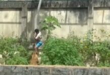 VÍDEO: Prefeitura de João Pessoa diz que segurança da Bica tentou impedir que jovem entrasse em jaula da leoa