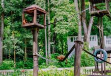 Prefeitura anuncia reabertura do Parque Zoobotânico Arruda Câmara com novas medidas de segurança e gestão