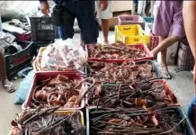 Quase uma tonelada de fios de cobre é apreendida e dois homens são presos