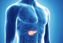 Terapia tripla elimina tumores de câncer de pâncreas em testes com animais, aponta pesquisa espanhola