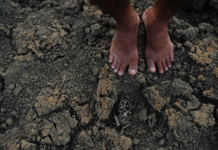 Quatro cidades da Paraíba entram em situação de emergência por causa da estiagem