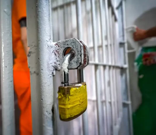 Idoso é detido após matar o próprio cachorro com barra de ferro no Sertão da Paraíba