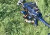 VÍDEO: Imagens mostram momento da queda de helicóptero em Campina Grande; FAB investiga caso