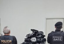 Operação mira organização criminosa e tráfico de drogas na PB em outros estados