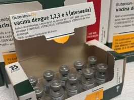 Ministério da Saúde suspende vacina contra a dengue do Butantan