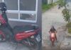 EM JOÃO PESSOA: Polícia Civil identifica segundo envolvido em crimes sexuais na Zona Sul