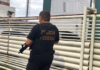 PF faz operação contra fraude em concursos e lavagem de dinheiro