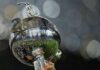 Libertadores pode ter semifinais com confrontos entre brasileiros