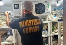 Operação interdita dois restaurantes no Brejo paraibano