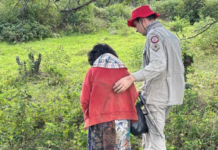 Idosa que estava desaparecida é encontrada com vida em área de mata na Paraíba