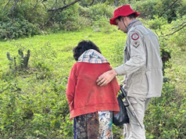 Idosa que estava desaparecida é encontrada com vida em área de mata na Paraíba