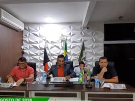 Câmara de Serra Redonda aprova projetos sobre primeira infância, cultura, educação e direitos da mulher