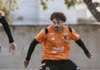 Botafogo-PB ainda tem chances de acesso