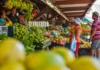 Feriado de Nossa Senhora Aparecida altera funcionamento dos mercados públicos em João Pessoa
