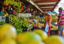 Feriado de Nossa Senhora Aparecida altera funcionamento dos mercados públicos em João Pessoa
