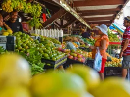 Feriado de Nossa Senhora Aparecida altera funcionamento dos mercados públicos em João Pessoa